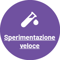 Sperimentazione veloce