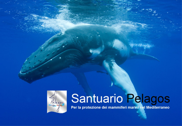Santuario Pelagos