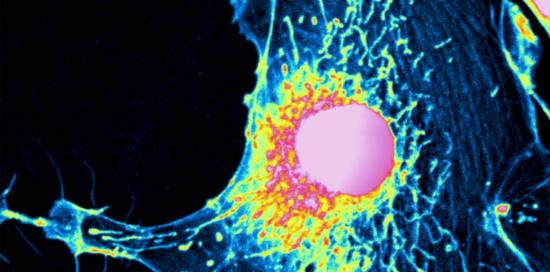 Pop microscopy