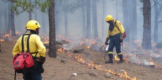 Due vigili del fuoco in azione in un bosco per spegnere le fiamme di un incendio Due vigili del fuoco in azione in un bosco per spegnere le fiamme di un incendio