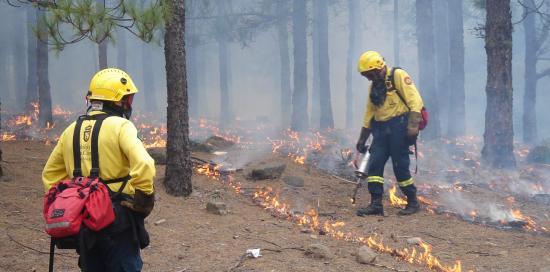 Due vigili del fuoco in azione in un bosco per spegnere le fiamme di un incendio
