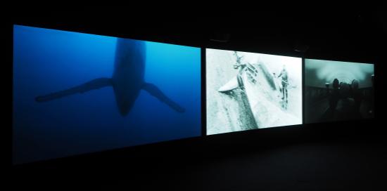 Immagine di Vertigo Sea, la prima grande installazione video presente in mostra, a cura di John Akomfrah