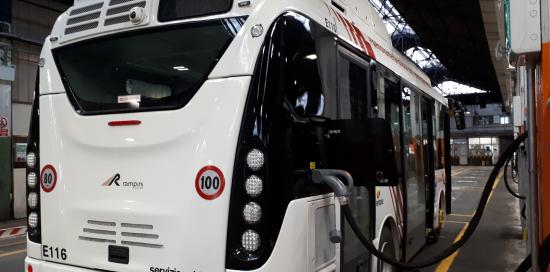 bus
