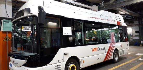 bus