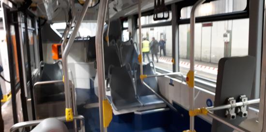 bus