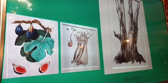 tre opere esposte a tema botanico