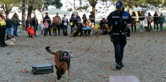 Al parco dell'Acquasola la Giornata del cane: oltre 40 alla sfilata e le simulazioni dei nuclei cinofili 