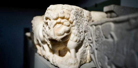 leone di marmo particolare di un capitello