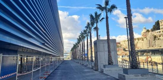 waterfront palme