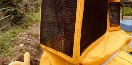 casco per apicultore