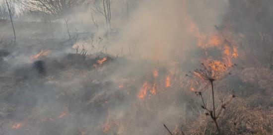 Incendio in corso in un bosco (Foto Comando Provinciale Vigili del Fuoco - Genova)
