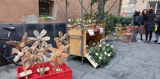 bancarella di piante verdi all'esterno dell'emporio
