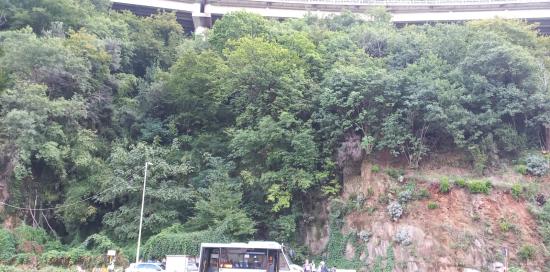 L'autobus, linea 97 AMT, fermo in corrispondenza del tratto di via delle Fabbriche interessato dalla frana