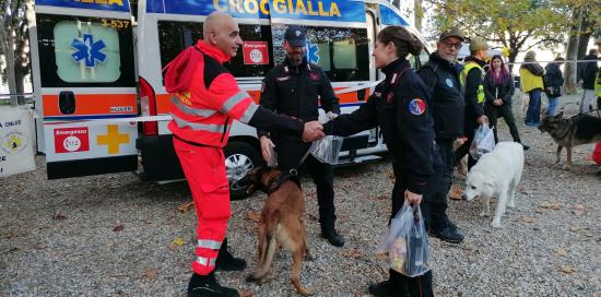 Al parco dell'Acquasola la Giornata del cane: oltre 40 alla sfilata e le simulazioni dei nuclei cinofili 