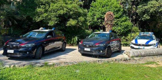 Auto dei Carabinieri e della Polizia Locale parcheggiate in un parco
