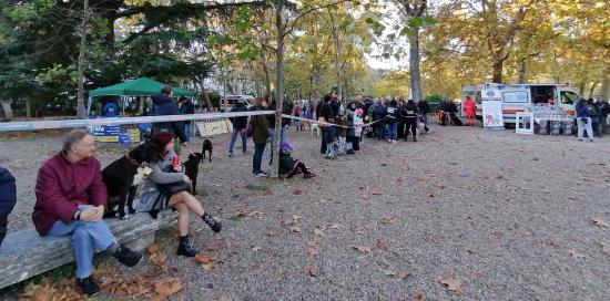 Al parco dell'Acquasola la Giornata del cane: oltre 40 alla sfilata e le simulazioni dei nuclei cinofili 