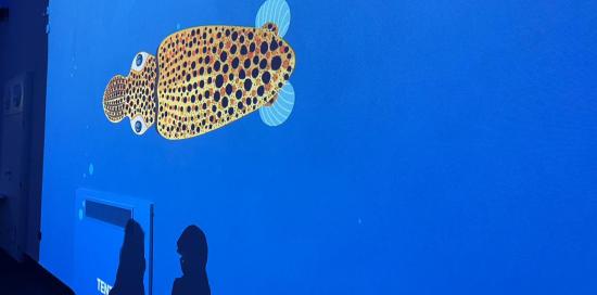 pesce