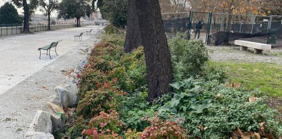 Passeggiata e nuove aiuole