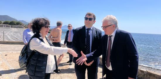 mascia e sartori
