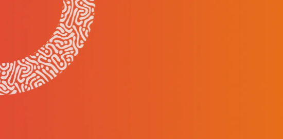 Logo di di CULTURE SHIELDS – Africa-Europe Cultural Alliances for Social Resilience