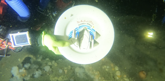 Andrea Murdock Alpini posa il piatto commemorativo Un Lembo di Patria sul rleitto Andrea Doria _ courtesy PHY DIVING EQUIPMENT