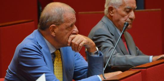 Il consigliere delegato alle politiche sociali Mario Baroni Il consigliere delegato alle politiche sociali Mario Baroni