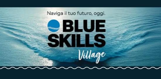 Blue Skills Village-Pannello