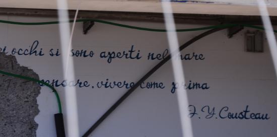 scritta su muro