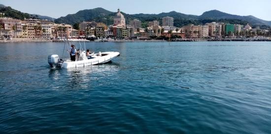 gommone