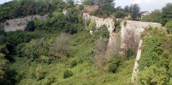 Forte Tenaglia