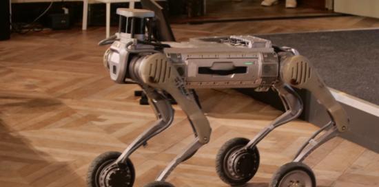 GESW 25_il robot di Cosme