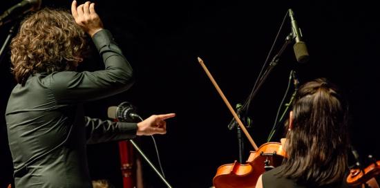 violinista e direttore d'orchestra di spalle