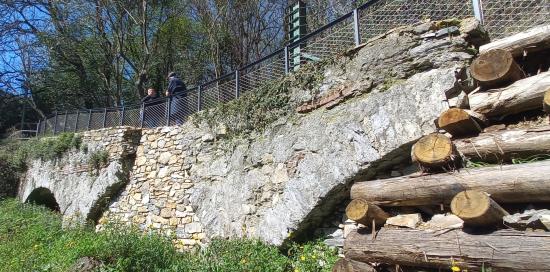Nuova palificata sopra via delle Ginestre Nuova palificata sopra via delle Ginestre
