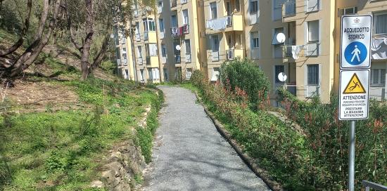 Consolidamento del percorso sopra via delle Ginestre mediante utilizzo di pietrame Consolidamento del percorso sopra via delle Ginestre mediante utilizzo di pietrame