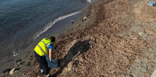 Operatore di Amiu toglie rifiuti dalla spiaggetta del Porticciolo di Nervi: sullo sfondo la Chiesa di San Gerolamo Operatore di Amiu toglie rifiuti dalla spiaggetta del Porticciolo di Nervi: sullo sfondo la Chiesa di San Gerolamo