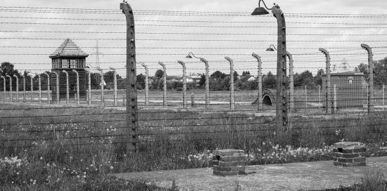 Il campo di sterminio di Auschwitz