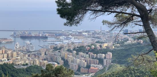 Una veduta del porto