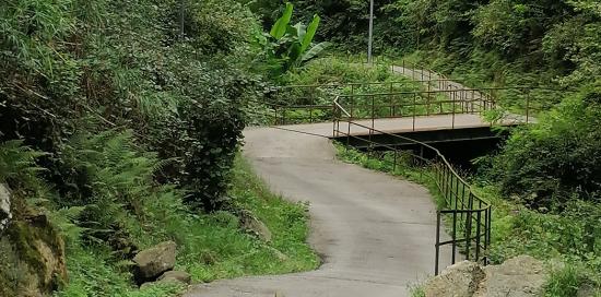 la strada che attraversa il rio Molinassi, circondata dai boschi