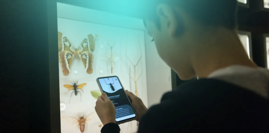 Bimbo in un museo con il cellulare in mano davanti a un allestimento (autrice foto Mélanie Dusseault)
