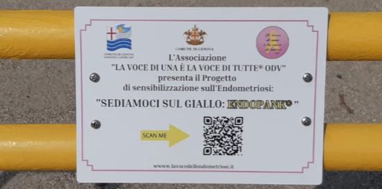 Inaugurata una panchina gialla contro l'endometriosi-Targa