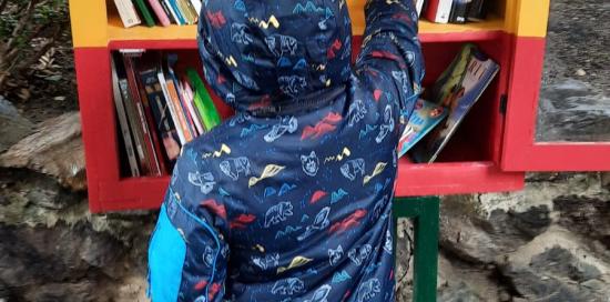 Un bimbo inserisce il suo libro nella casetta 2