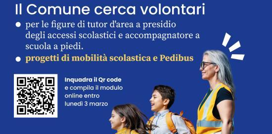 Locandina ricerca volontari