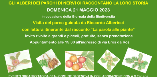 parchi nervi