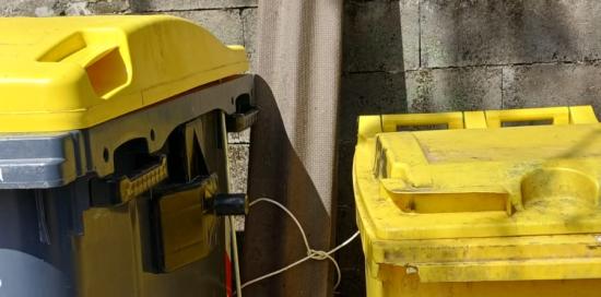 Ondulina appoggiata sul muro dietro a due bidoncini per la raccolta della plastica