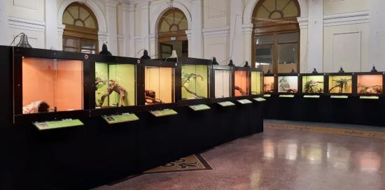 Mostra Serpenti-Teche