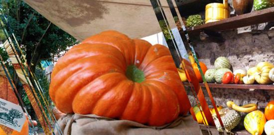 Mostra Zucca di Murta