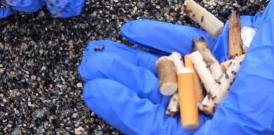 Una mano protetta da un guanto blu e "piena" di mozziconi appena raccolti
