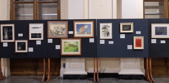 “Natura di Notte”, pannelli “Natura di Notte”, pannelli