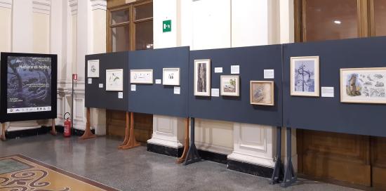 “Natura di Notte”, pannelli “Natura di Notte”, pannelli