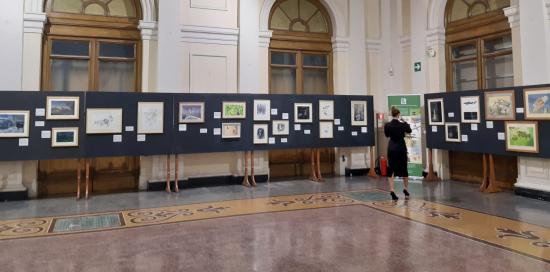 “Natura di Notte”, pannelli “Natura di Notte”, pannelli